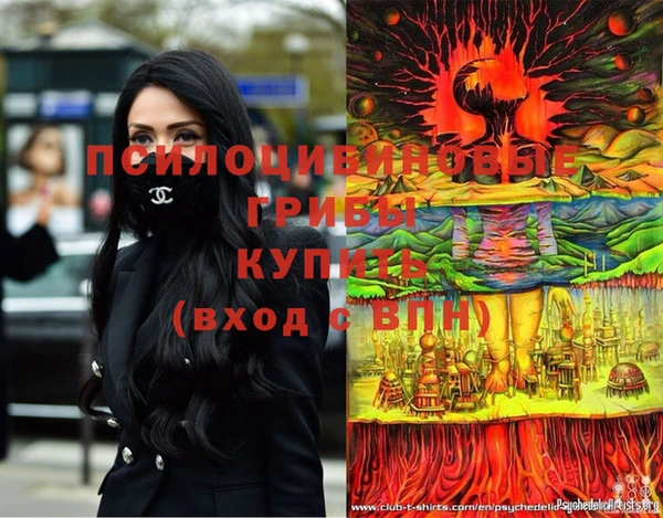 спайс Баксан