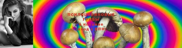 прущая мука Ачинск