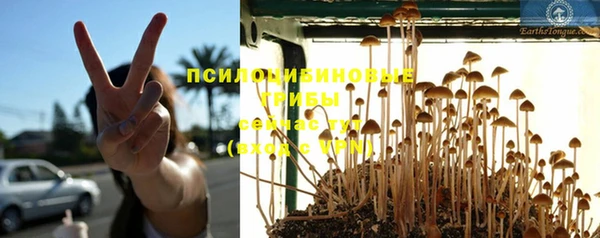спайс Баксан