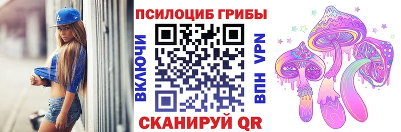 наркотики Десногорск Галлюциногенные грибы Cubensis