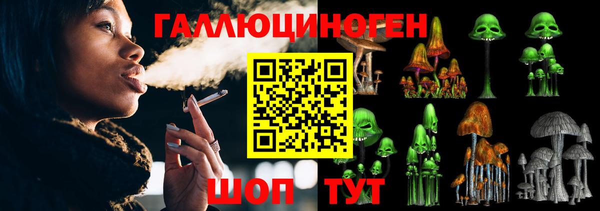 купить наркотики сайты  Псилоцибиновые грибы GOLDEN TEACHER  Вход с VPN  Десногорск 